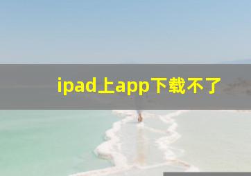 ipad上app下载不了