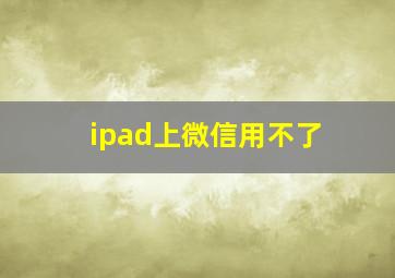 ipad上微信用不了