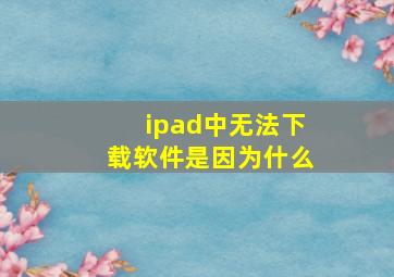 ipad中无法下载软件是因为什么