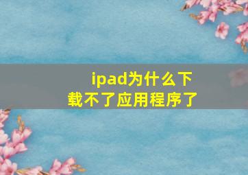 ipad为什么下载不了应用程序了