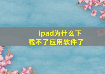 ipad为什么下载不了应用软件了