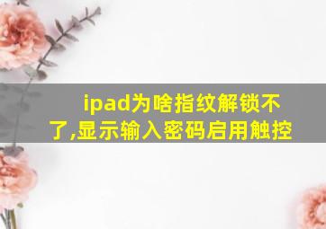 ipad为啥指纹解锁不了,显示输入密码启用触控