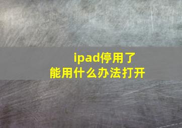 ipad停用了能用什么办法打开