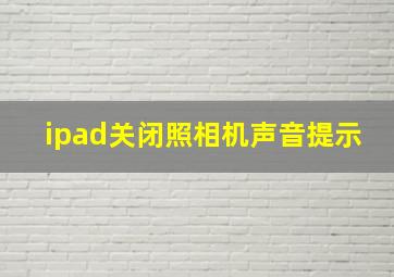 ipad关闭照相机声音提示