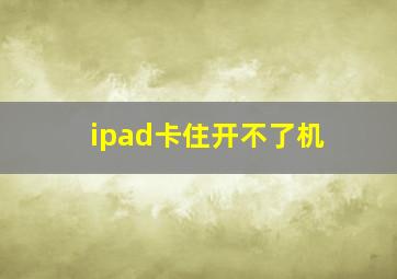 ipad卡住开不了机