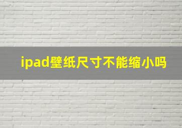 ipad壁纸尺寸不能缩小吗