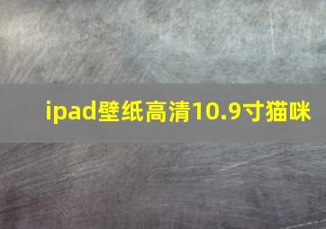 ipad壁纸高清10.9寸猫咪