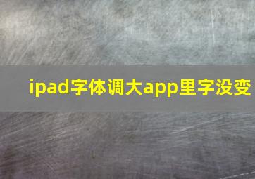 ipad字体调大app里字没变