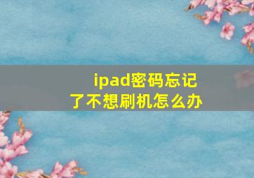 ipad密码忘记了不想刷机怎么办