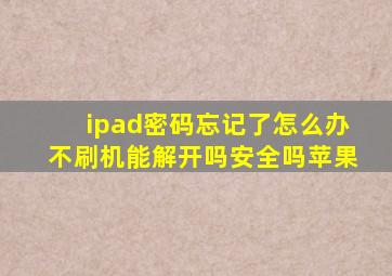 ipad密码忘记了怎么办不刷机能解开吗安全吗苹果