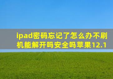 ipad密码忘记了怎么办不刷机能解开吗安全吗苹果12.1