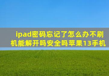 ipad密码忘记了怎么办不刷机能解开吗安全吗苹果13手机