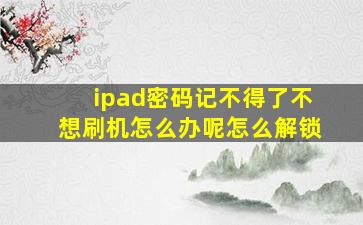 ipad密码记不得了不想刷机怎么办呢怎么解锁