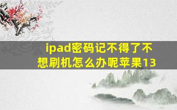 ipad密码记不得了不想刷机怎么办呢苹果13