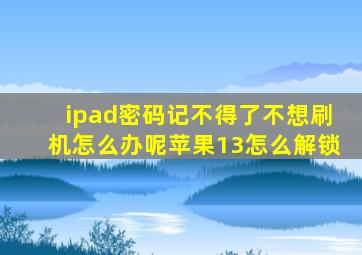 ipad密码记不得了不想刷机怎么办呢苹果13怎么解锁