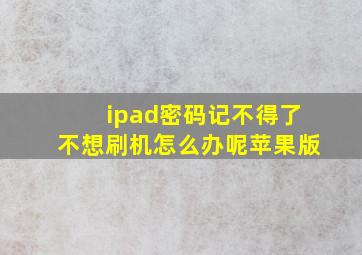 ipad密码记不得了不想刷机怎么办呢苹果版