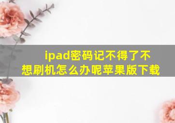 ipad密码记不得了不想刷机怎么办呢苹果版下载