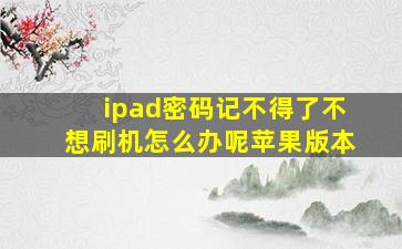 ipad密码记不得了不想刷机怎么办呢苹果版本