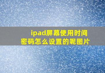 ipad屏幕使用时间密码怎么设置的呢图片