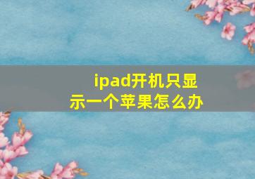 ipad开机只显示一个苹果怎么办