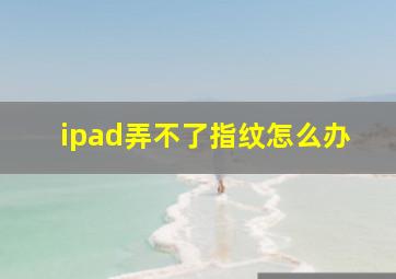 ipad弄不了指纹怎么办