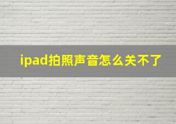 ipad拍照声音怎么关不了