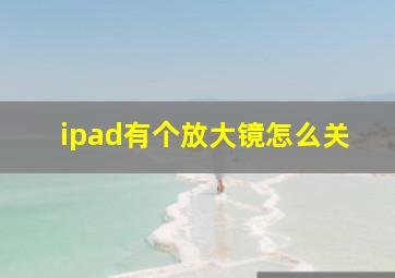 ipad有个放大镜怎么关