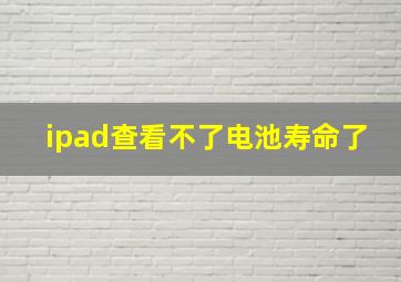 ipad查看不了电池寿命了