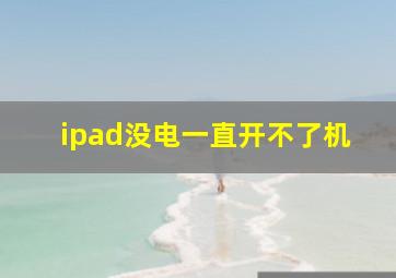 ipad没电一直开不了机