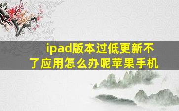 ipad版本过低更新不了应用怎么办呢苹果手机