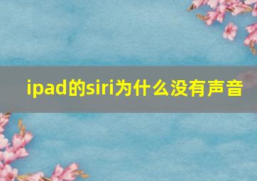 ipad的siri为什么没有声音