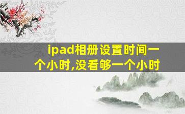 ipad相册设置时间一个小时,没看够一个小时