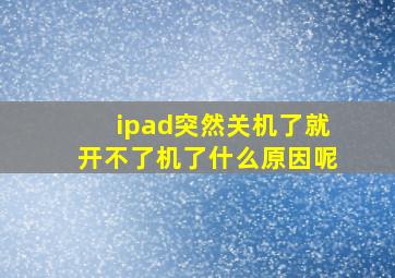 ipad突然关机了就开不了机了什么原因呢