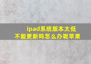 ipad系统版本太低不能更新吗怎么办呢苹果