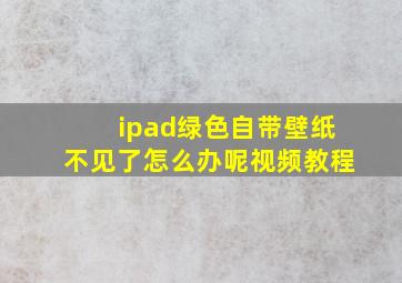 ipad绿色自带壁纸不见了怎么办呢视频教程