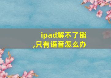 ipad解不了锁,只有语音怎么办