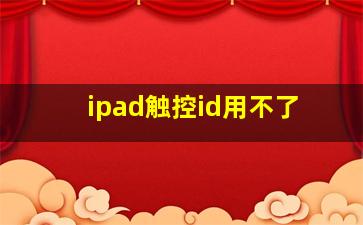 ipad触控id用不了