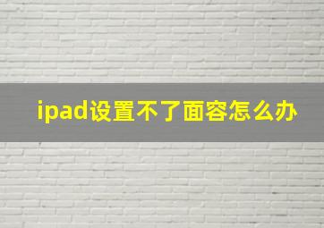 ipad设置不了面容怎么办