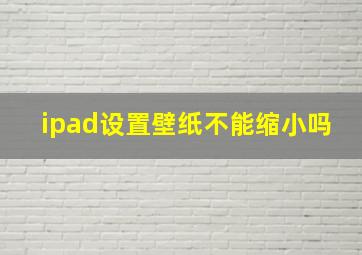 ipad设置壁纸不能缩小吗