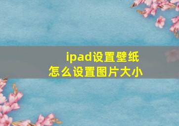 ipad设置壁纸怎么设置图片大小