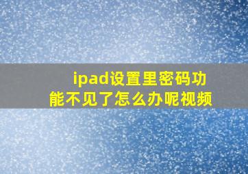 ipad设置里密码功能不见了怎么办呢视频