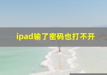 ipad输了密码也打不开