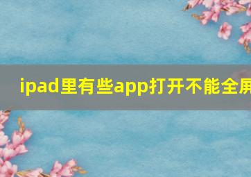 ipad里有些app打开不能全屏