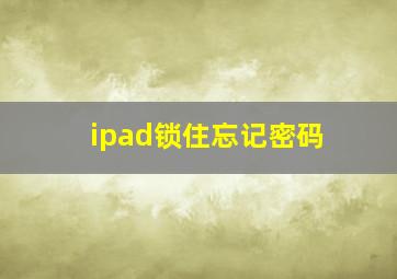 ipad锁住忘记密码