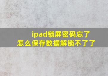 ipad锁屏密码忘了怎么保存数据解锁不了了