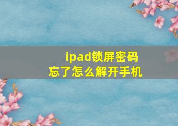 ipad锁屏密码忘了怎么解开手机