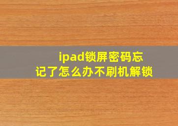 ipad锁屏密码忘记了怎么办不刷机解锁