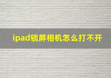 ipad锁屏相机怎么打不开