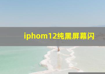 iphom12纯黑屏幕闪