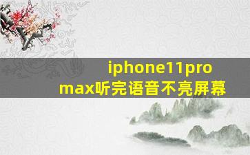 iphone11promax听完语音不亮屏幕